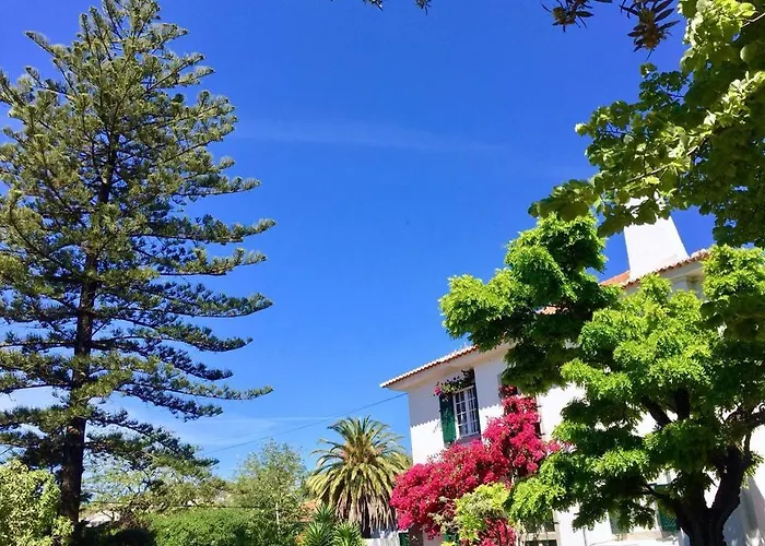 Seaside Garden
