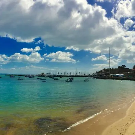 Seaside Garden *