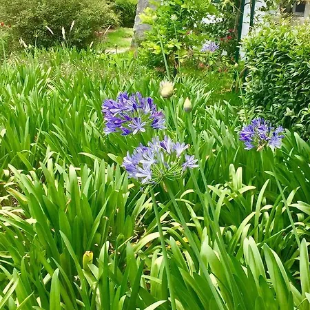 Seaside Garden