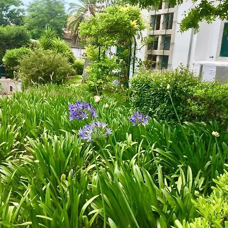 Seaside Garden * Cascais