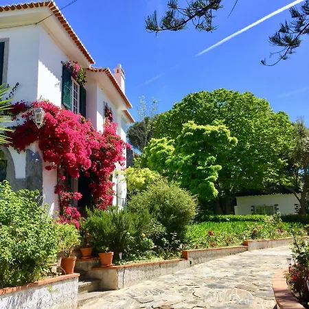 Seaside Garden Cascais