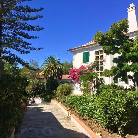 Seaside Garden