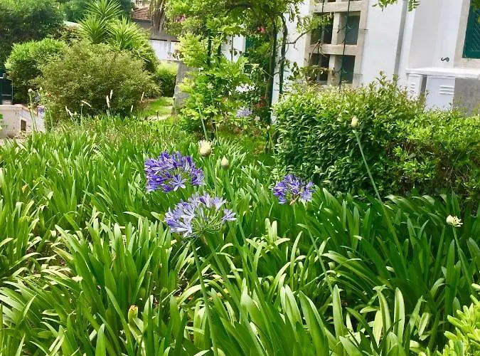 Seaside Garden * カスカイス