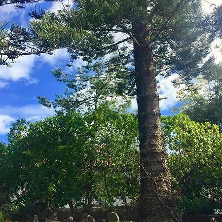 Seaside Garden 카스카이스