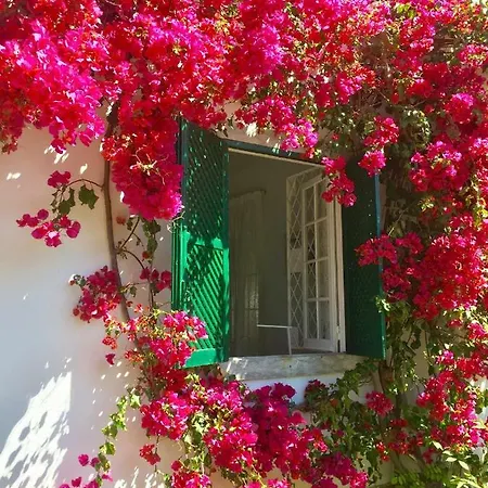 Homestay Seaside Garden Cascais