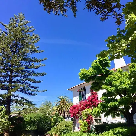 Seaside Garden